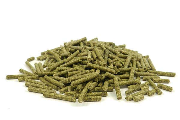 BERKEL FUTTER Meerschweinchen-Premium BERKEL FUTTER Meerschweinchen-Premium
